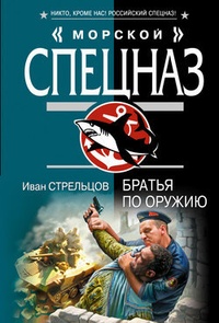 Обложка книги Братья по оружию