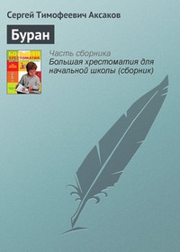 Обложка книги Буран