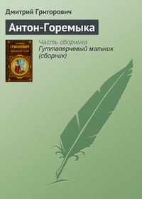 Обложка книги Антон-Горемыка