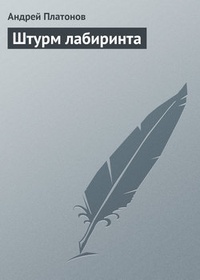 Обложка книги Штурм лабиринта
