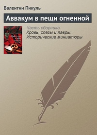 Обложка книги Аввакум в пещи огненной