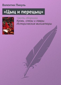 Обложка книги «Цыц и перецыц»