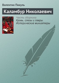 Обложка книги Каламбур Николаевич