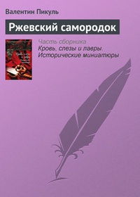 Обложка книги Ржевский самородок
