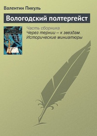 Обложка книги Вологодский полтергейст