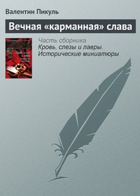 Обложка книги Вечная „карманная“ слава