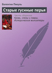 Обложка книги Старые гусиные перья