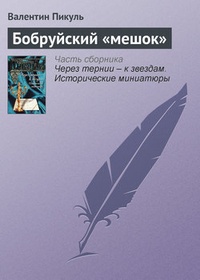 Обложка книги Бобруйский „мешок“