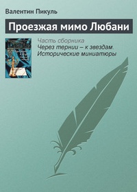 Обложка книги Проезжая мимо Любани