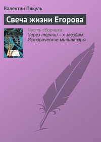 Обложка книги Свеча жизни Егорова
