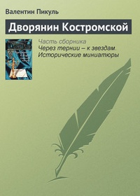 Обложка книги Дворянин Костромской
