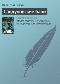 Обложка книги Сандуновские бани