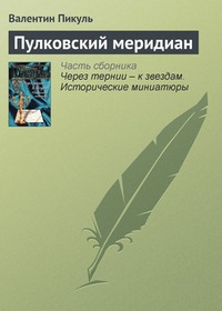 Обложка книги Пулковский меридиан