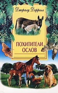 Обложка книги Похитители ослов