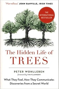 Обложка для книги The Hidden Life of Trees: What They Feel, How They Communicate 